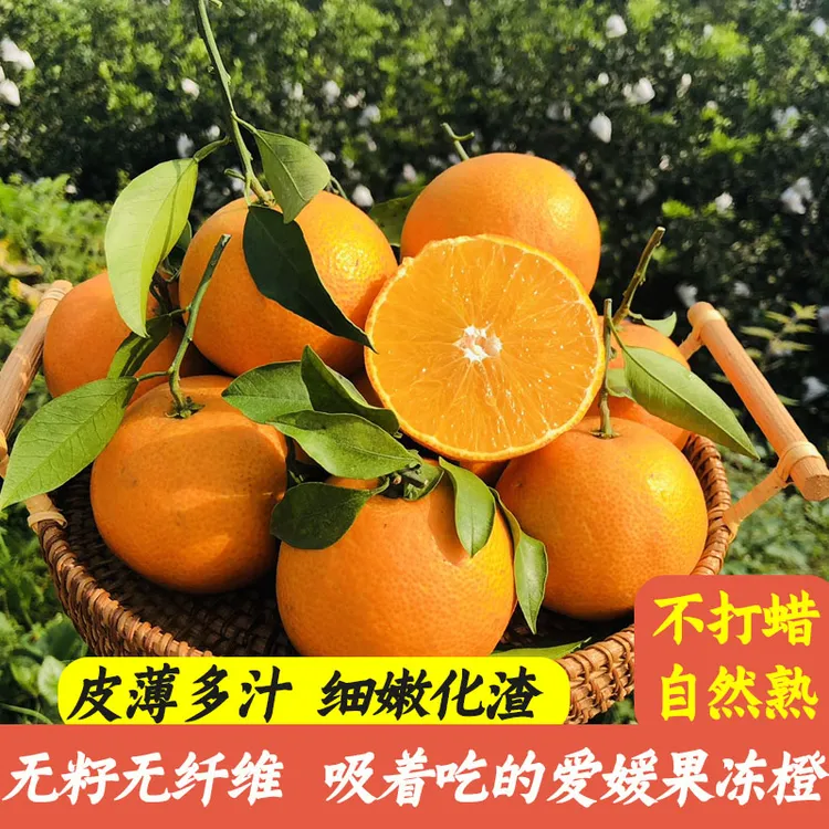 四川眉山正宗爱媛38号果冻橙甜橙子精品大果5/8/10斤新鲜应季水果