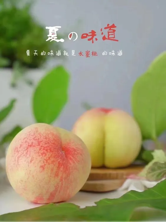 yushou中6月发货阳山水蜜桃顺丰京东冷链直达