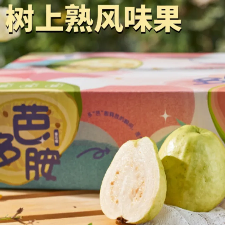 产地直发-福建漳州白芭乐 净重2/3/4.5斤装 