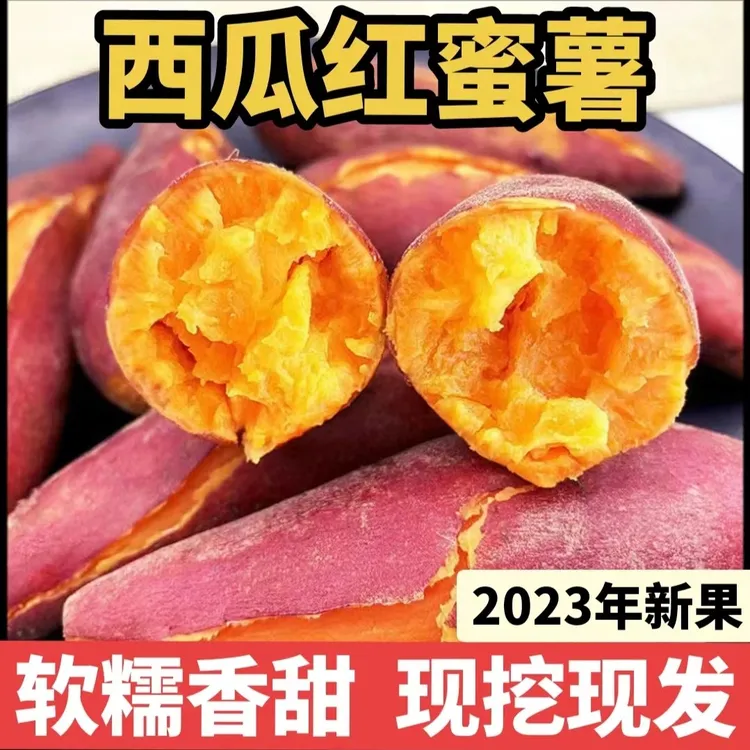 【新鲜现挖】新鲜沙地西瓜红蜜薯软糯香甜地瓜番薯中小果 坏果包赔