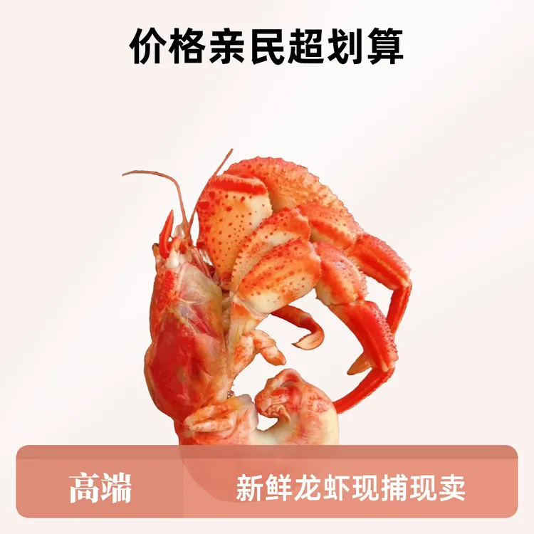 【台风地区勿拍】海捕虾怪 3斤装  带壳发货【保鲜不保活】原产地直发