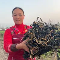 2024新货干萝卜缨子干芥菜缨子农家自晒脱水蔬菜晒干河南特产美味