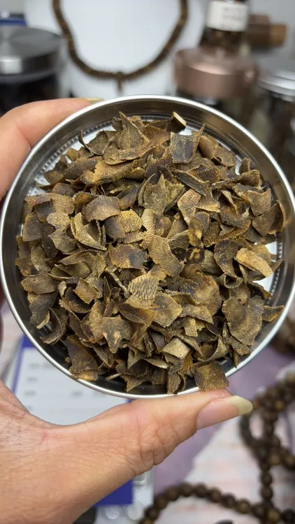 18克十年老料奇楠沉香切片高油原材料熏香花密凉十足香多样性发一