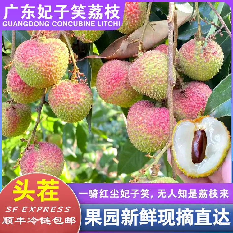 【顺丰冷链】鲜嫩妃子笑荔枝包邮现采现摘直发新鲜超大精选