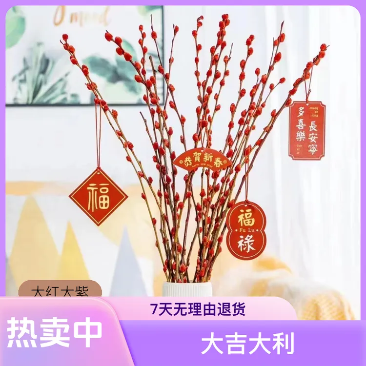 红色银柳自然新鲜年宵花真花鲜花干花室内客厅装饰花大吉大利
