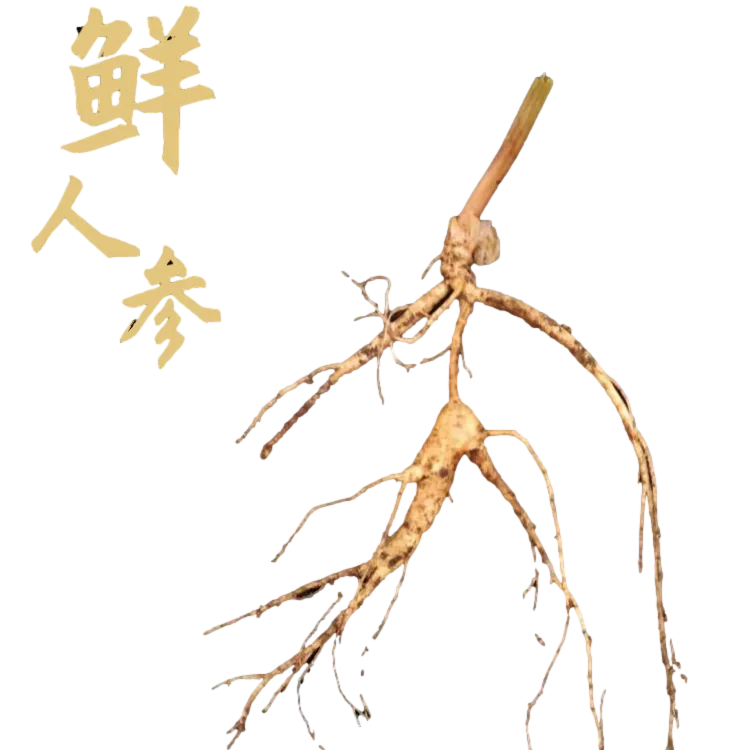 林下参鲜参，直播间现挑现选，所见即所得