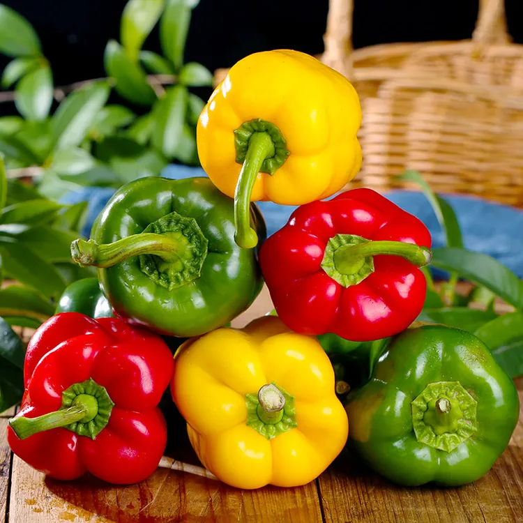 新鲜山东彩椒甜椒红黄绿圆椒水果椒生吃蔬菜3/5斤