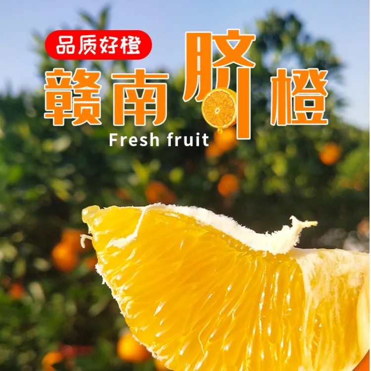 现采现发正宗赣南信丰脐橙果农自产自销新鲜香甜多汁5斤