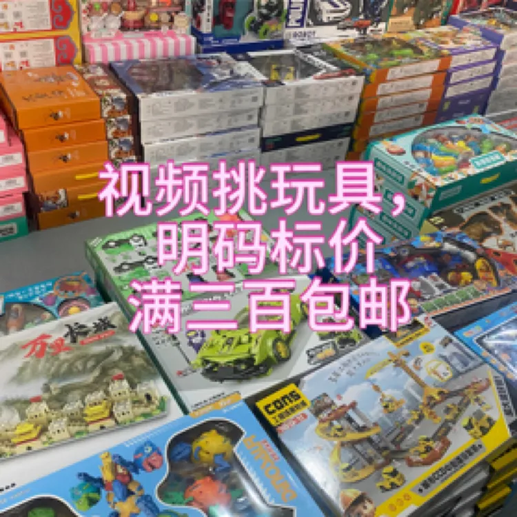 vip选品玩具，视频当场选品发货，价格需满300发货（遥控车积木娃娃）