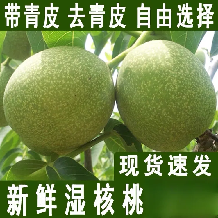 2024云南新鲜核桃高山去皮青皮湿嫩现摘薄皮核桃仁