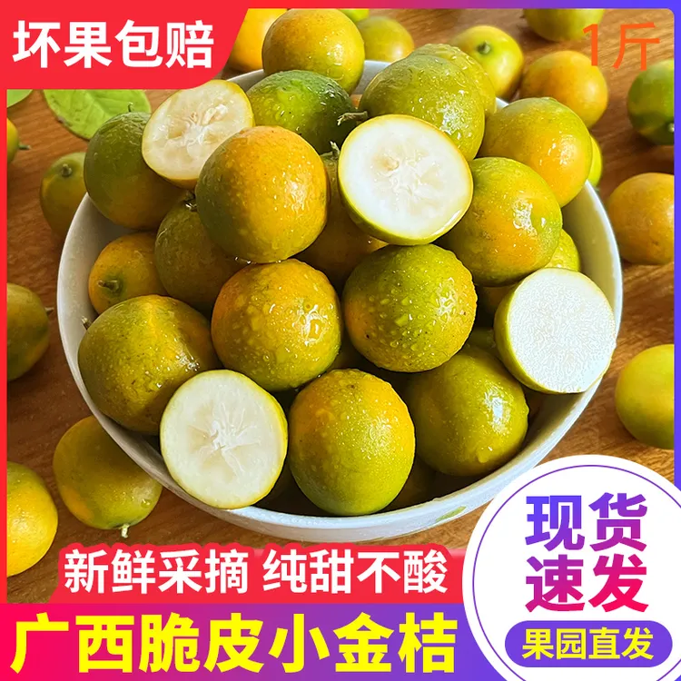 【现摘现发】广西融安二代脆皮金桔新鲜水果桔子当季甜脆冰糖滑皮金