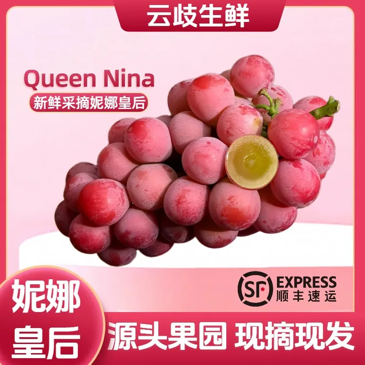 妮娜皇后葡萄【超大果15g+】红宝石当季水果礼盒送礼佳套盒顺丰包邮