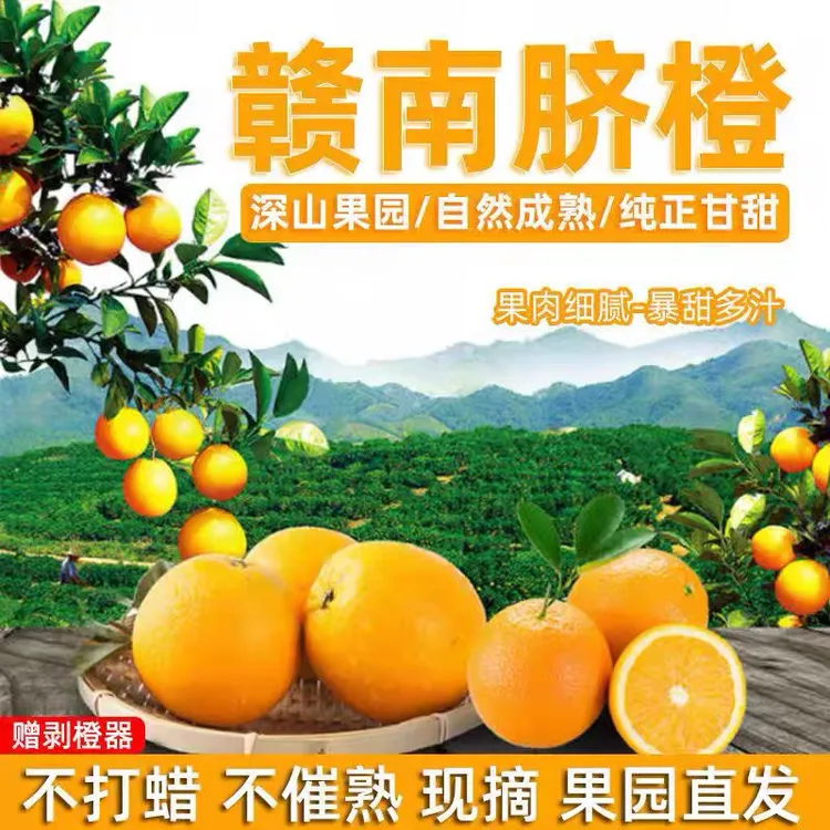 正宗江西赣南脐橙农家甜橙子现摘新鲜水果酸甜细腻产地直发10斤装