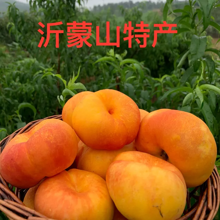 【自营甄选】沂蒙山特产半边红油蟠桃水果桃孕妇解馋甘甜爆汁新鲜