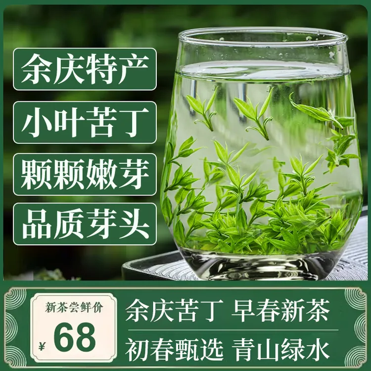 2025年新茶叶贵州余庆特产小叶苦丁茶正品青山绿水嫩芽叶散装250g