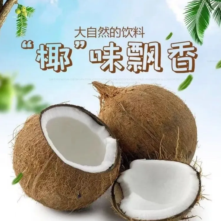 2个装】海南天然去皮老椰子水果香浓榨椰奶清补凉营养清甜煲汤椰香