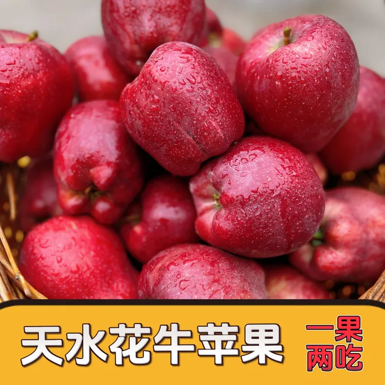 【中秋礼品】甘肃天水花牛苹果水果当季新鲜果园现采直发果王平安果