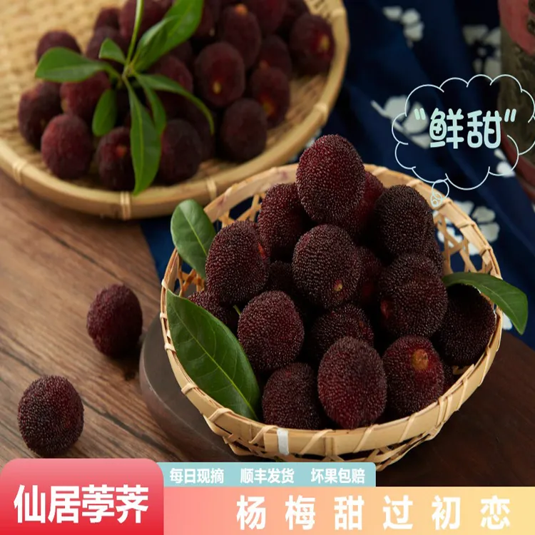 【3/5斤荸荠杨梅】仙居杨梅新鲜冷链当季水果黑炭送礼孕妇包邮到家