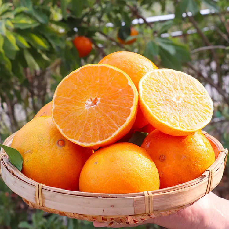 正宗爱媛38号果冻橙新鲜水果手剥橙子产地直发3/4.5斤酸甜口感