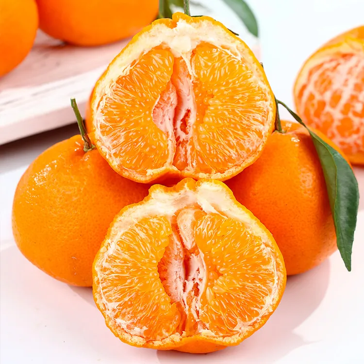 正宗四川春见耙耙柑当季新鲜水果净重4.5斤粑粑柑产地直发丑柑子商品图