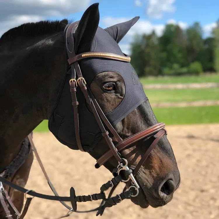 美国 Fenwick LT 解压面罩（连隔音耳罩）