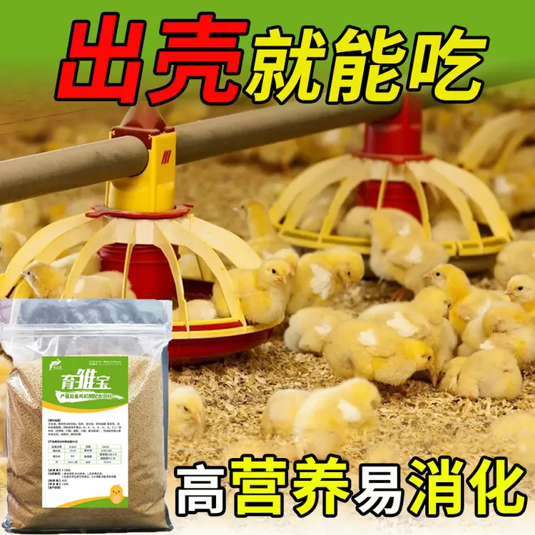 金凤凰小鸡饲料育雏宝鸡饲料散养小鸡开口营养饲料雏鸡颗粒全价料