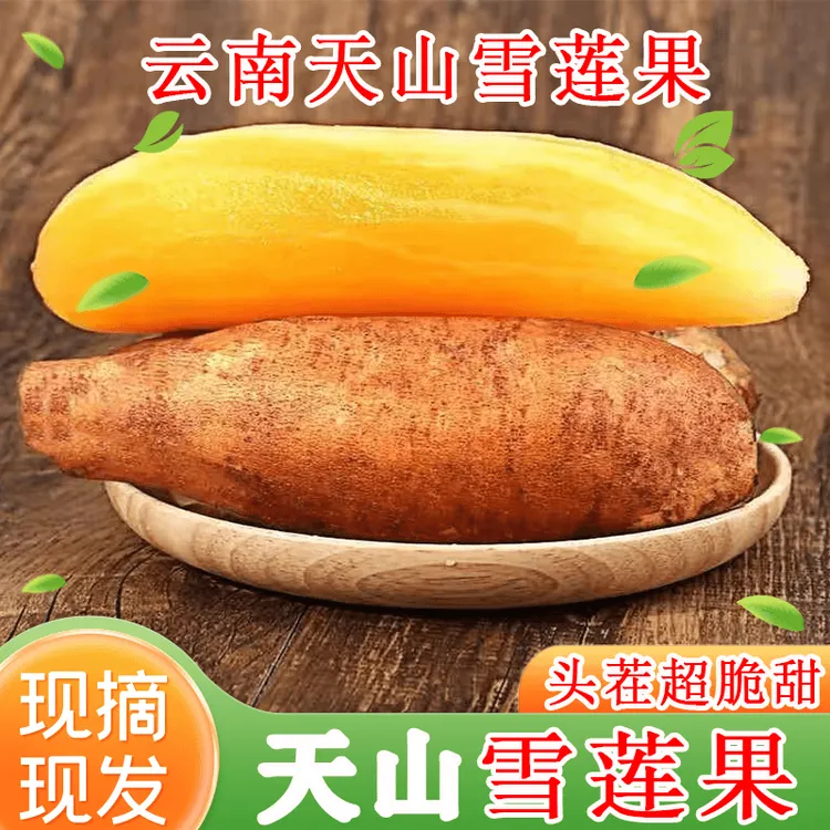 2025年云南天山雪莲果现挖脆甜多汁新鲜水果3斤5斤9斤红泥沙现挖 