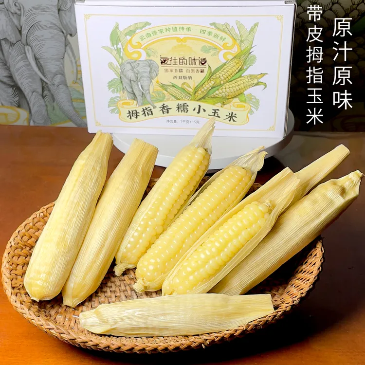 带皮拇指玉米西双版纳拇指小玉米网红儿童早餐新鲜小糯玉米新鲜