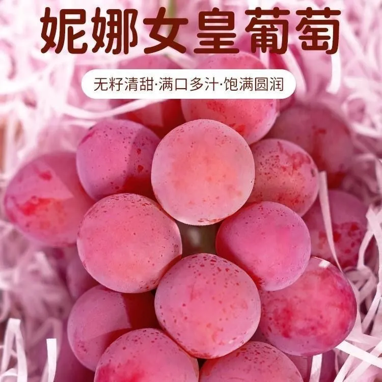 【顺丰包邮礼盒】妮娜皇后葡萄新鲜妮娜公主无籽提子红酒味葡萄