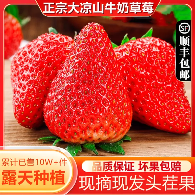 【顺丰陆运】大凉山奶油草莓营养甜美香甜饱满浓郁送礼酸甜