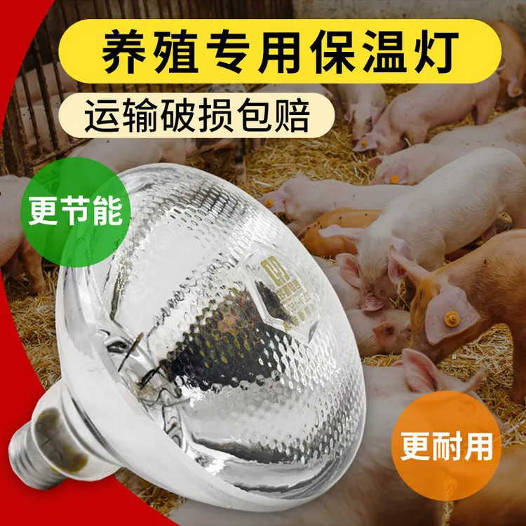 养殖专用保温灯养殖取暖灯猪牛羊幼鸡烤灯兽用防水保暖灯猪用仔猪