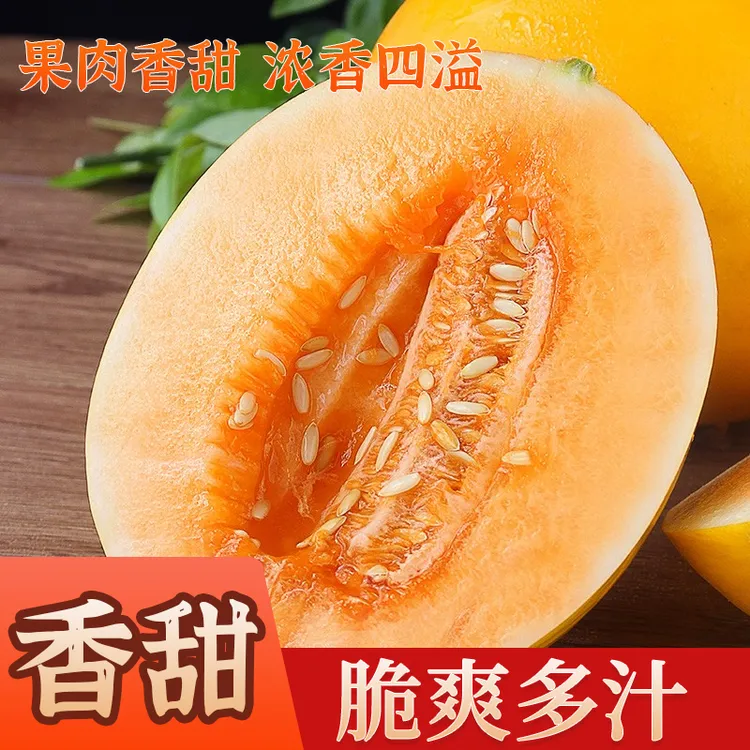 【民勤直发】正宗民勤沙漠蜜瓜金红宝当季新鲜现摘美味水果香甜蜜香