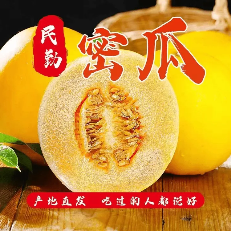 正宗民勤沙漠蜜瓜金红宝当季新鲜现摘水果香甜蜜香瓜产地直发