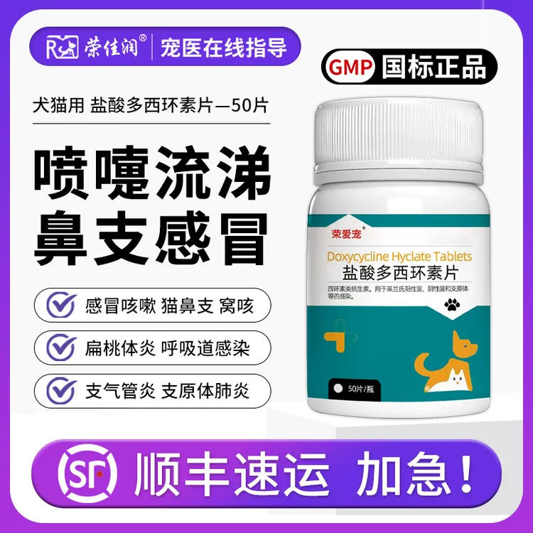 盐酸多西环素片猫鼻支治疗药宠物猫咪狗支气管炎犬窝咳嗽感冒流泪