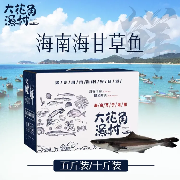 海甘草鱼 五斤装 全国顺丰空运 包邮发货