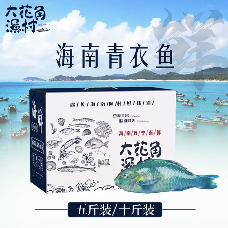 海南青衣鱼套餐  五斤装 全国顺丰空运 包邮发货