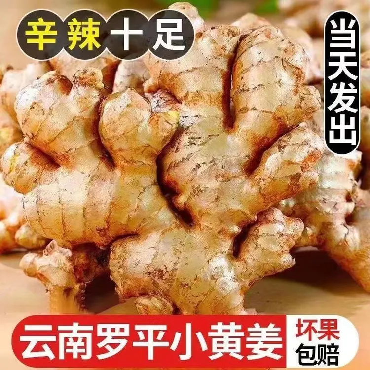 正宗罗平小黄姜本地生姜老姜云南特产黄姜新鲜姜0.5/9斤姜味浓郁