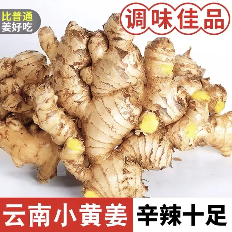 【正宗云南精品小黄姜】鲜姜老姜土姜嫩姜超低价0.5-9斤坏果包赔