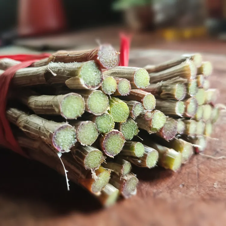 云南龙陵仿野紫皮石斛兰鲜条