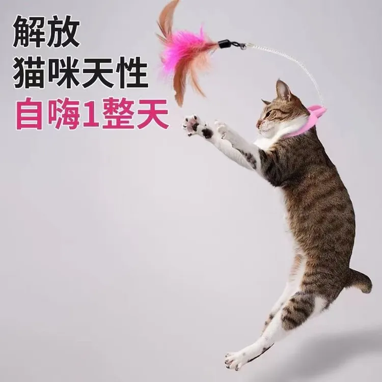 猫咪逗猫棒猫玩具自嗨猫咪解闷神器幼猫耐咬带铃铛羽毛项圈自玩