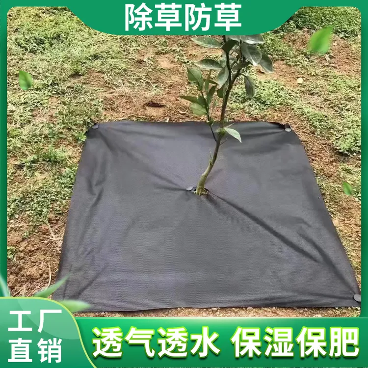 新型果树除草布透气透水园艺防草布生态盖草布