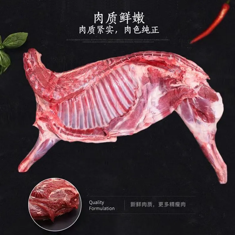 【顺丰冷链包邮】礼盒装带排四分体羊前腿带排羊后腿带腩精选乳羔羊