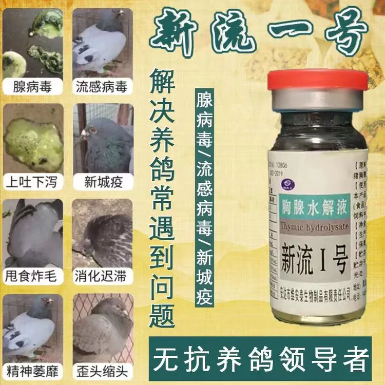 新流一号，赛鸽甩拉吐