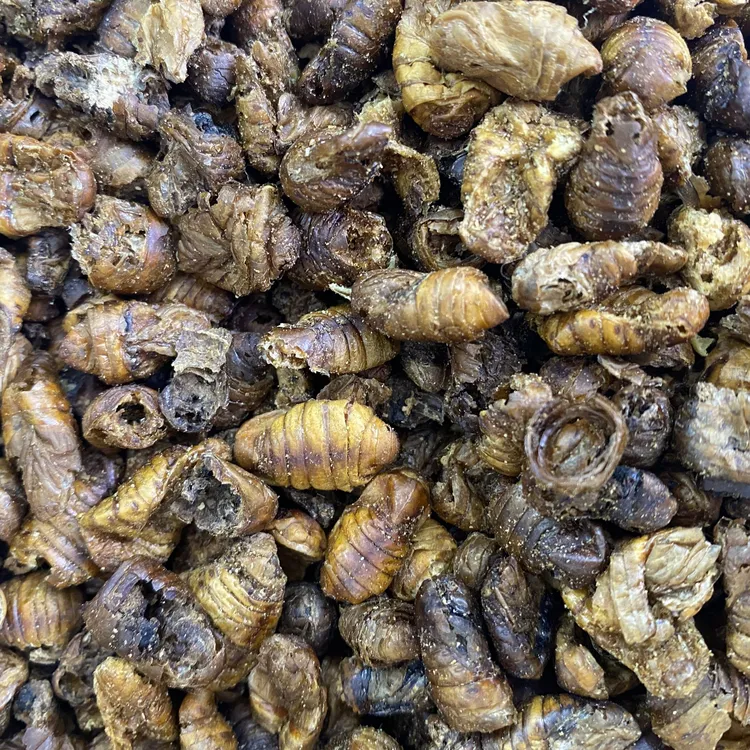 蚕蛹粉高蛋白油炸专用钓鱼饵料浓腥野钓鲫鱼松树菌鲤鱼草鱼添加剂