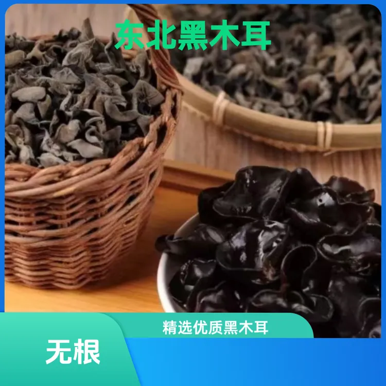 产地直发 东北木耳 新货黑木耳 无根肉厚秋木耳 东北特产无增重