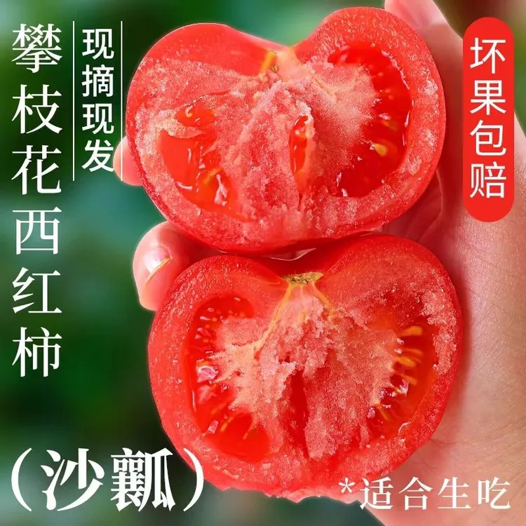 正宗攀枝花自然熟露天老品种沙瓤番茄普罗旺斯西红柿3斤5斤
