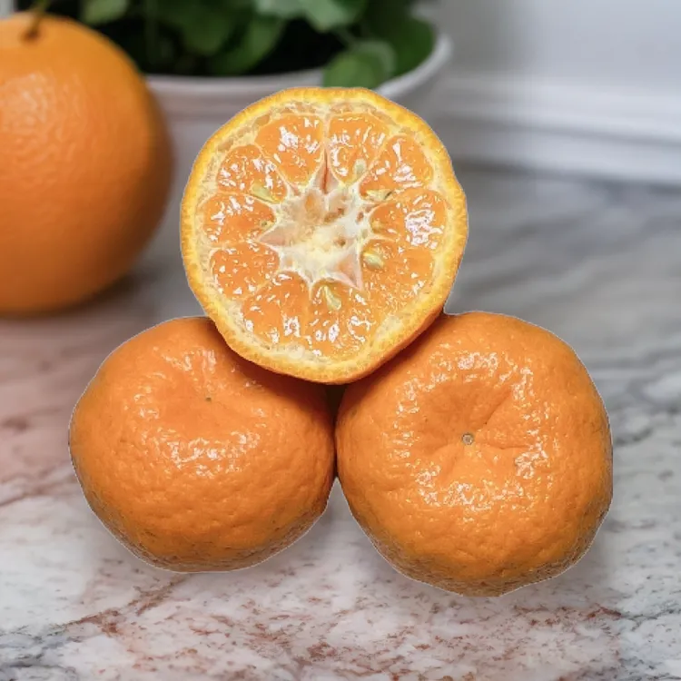 新鲜椪柑芦柑当季应季香甜多汁甜蜜营养柔嫩皮薄品质