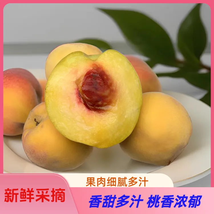 锦绣黄桃香甜多汁应季水果黄桃产地直销现摘现发