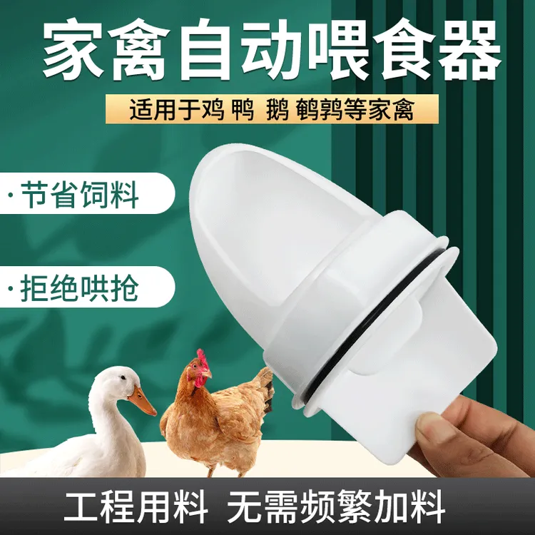 优选家禽自动喂食器加厚防潮安装鸡鸭投食器底部无需封口鸽子可用