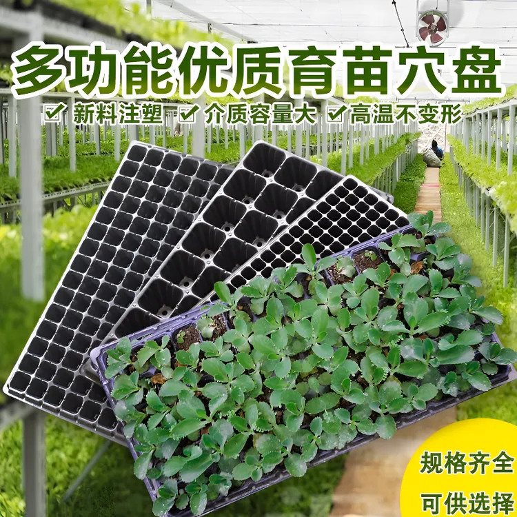 育苗盘托架穴盘超厚苗盘玉米育苗秧盘高粱辣椒加厚托架穴盘超厚